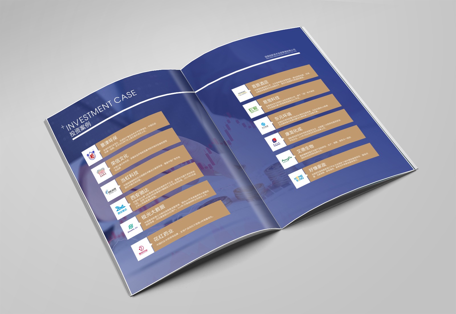 畫冊設計，彩頁設計