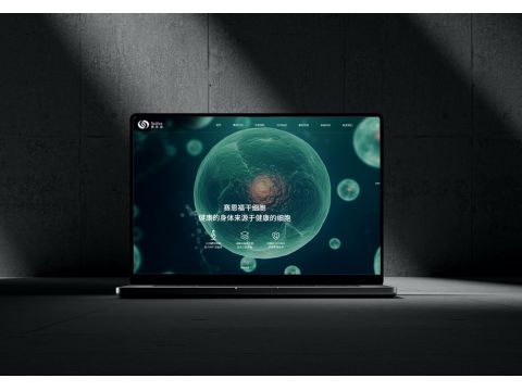 專業企業網站搭建